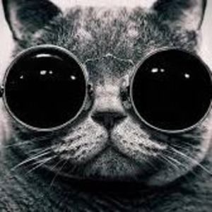 Meet your Posher, Randolph